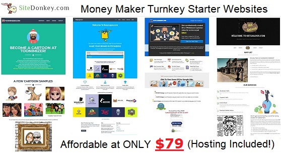 buy starter websites